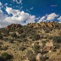 New Mexico Landscape 01 copy