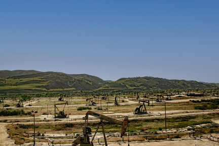 Oil Fields copy