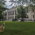 Tuscola County Courthouse (Caro)