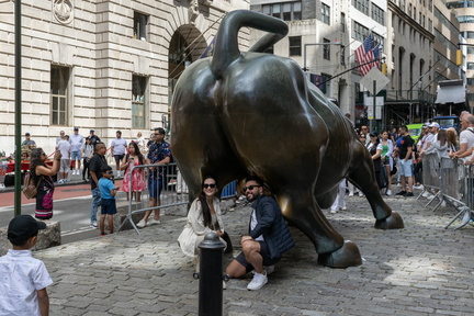 Bull copy