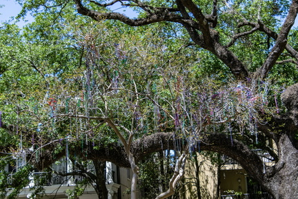 Bead Tree copy