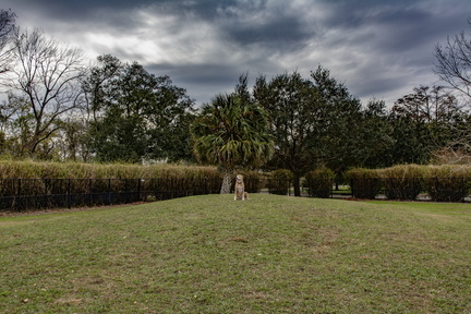 DogPark01