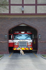 FD02s