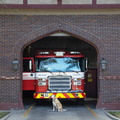 FD02s