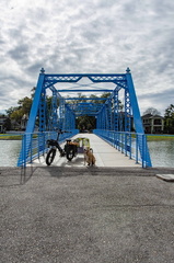 Magnolia Bridge s