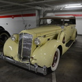 DSC 5180 resize