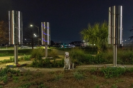 Daisy at the bayou copy
