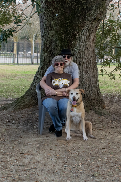 the under a tree copy.jpg