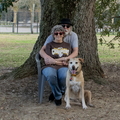 the under a tree copy