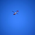 DSC 8259
