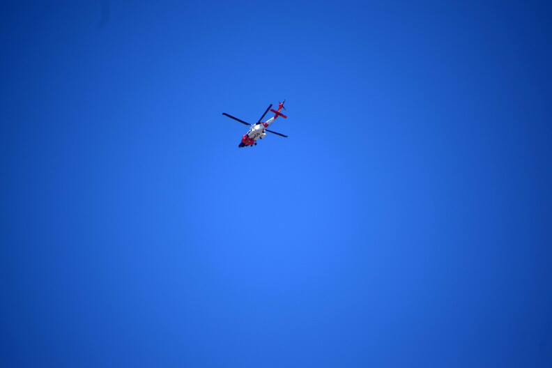 DSC_8264.jpg