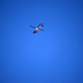 DSC 8264